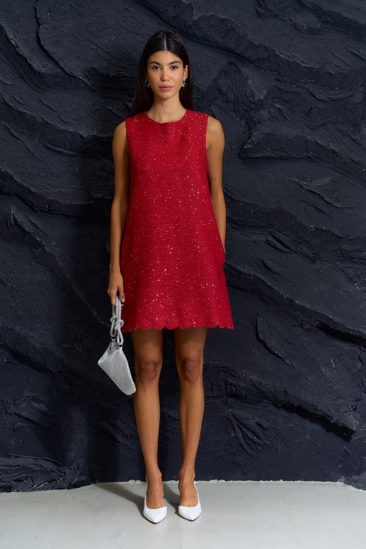 Sequin Sleeveless Dress