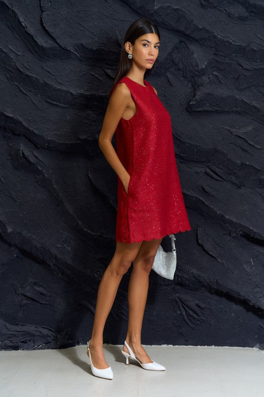 Sequin Sleeveless Dress